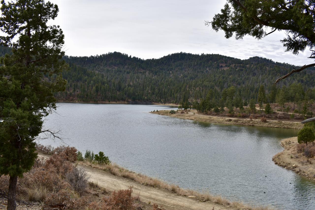 Holladay's Hideaway - thumb 42