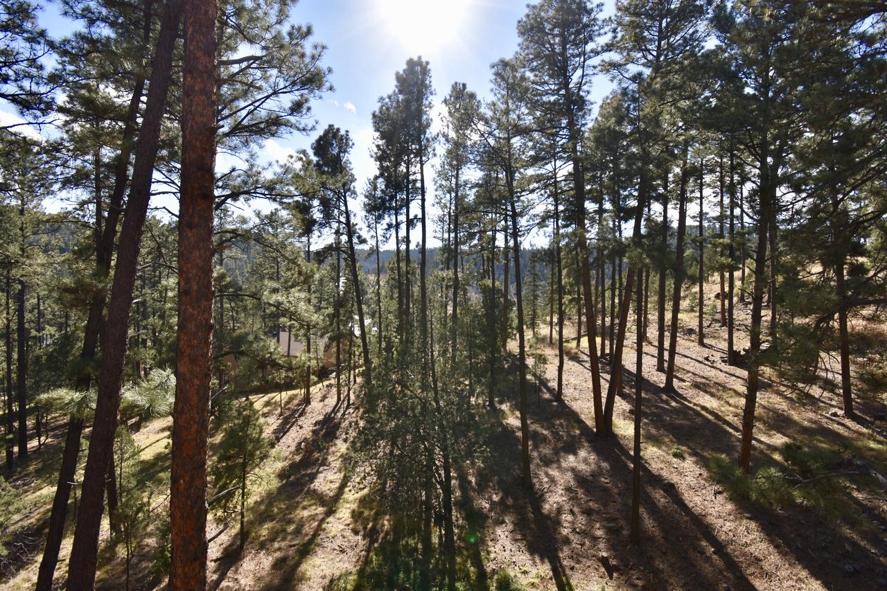 Holladay's Hideaway - thumb 29