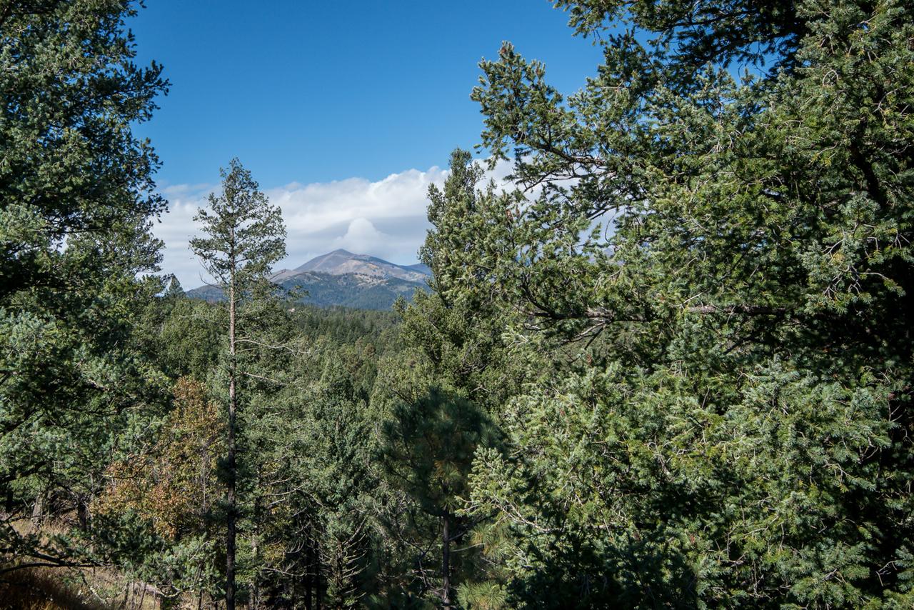 Adobe Hacienda, 3 Bedrooms, Sleeps 8, Gas Grill, Fenced Yard, WiFi - thumb 4