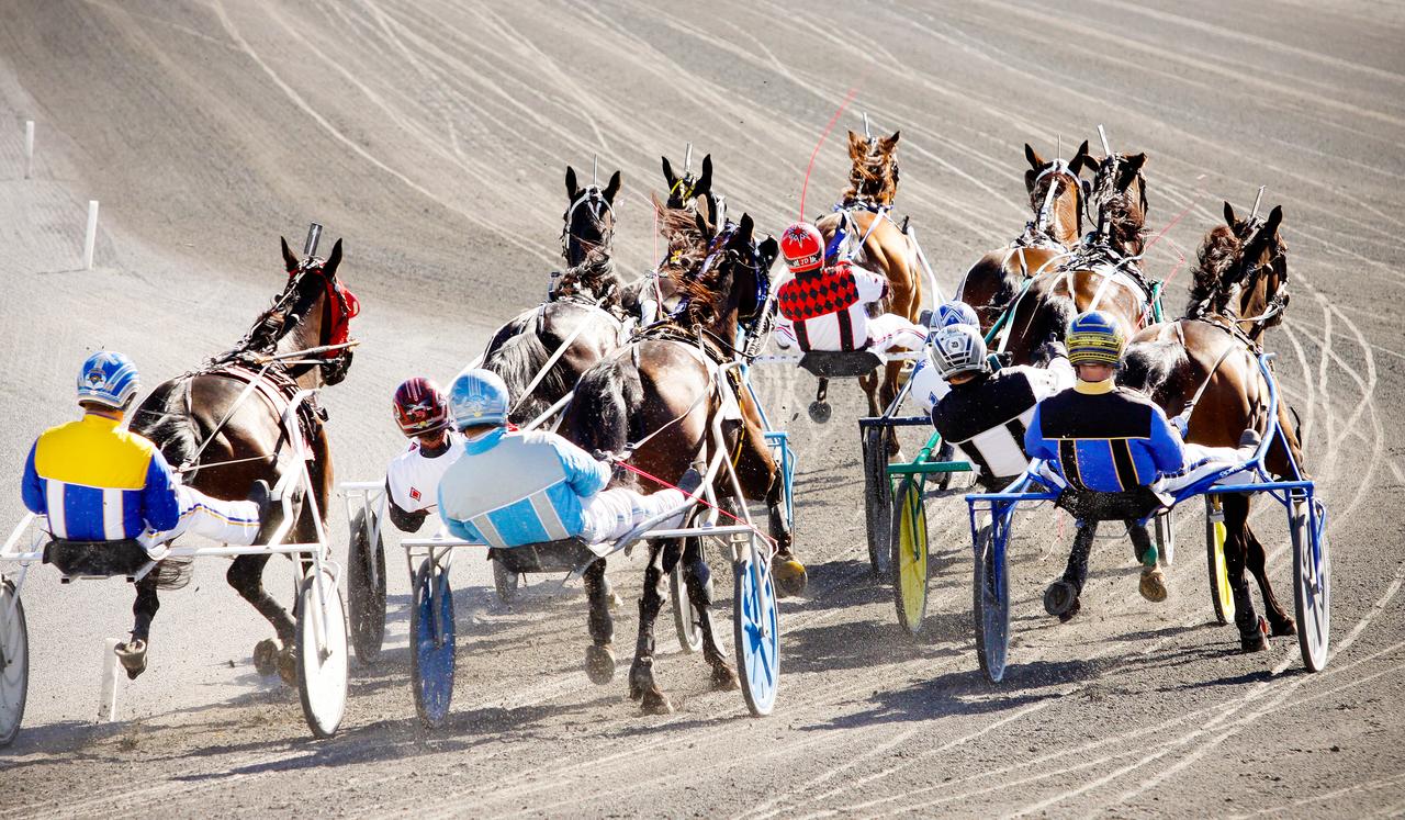 Saratoga Casino Hotel - thumb 32