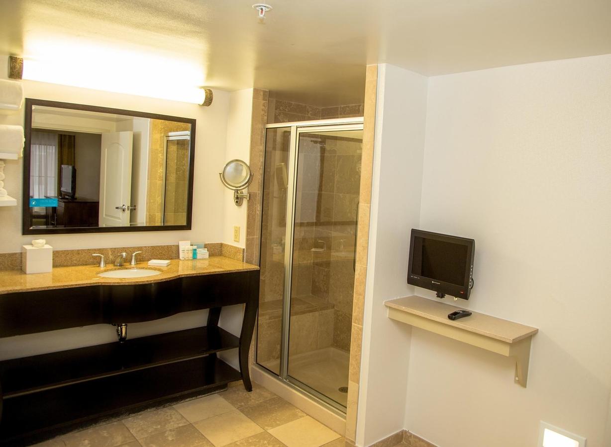 Hampton Inn & Suites Albany-Downtown - thumb 13