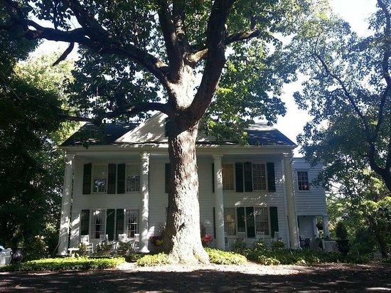 Renwick Clifton House B&B - thumb 43