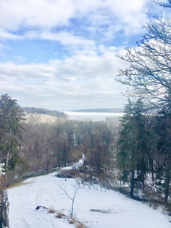 Renwick Clifton House B&B - thumb 32