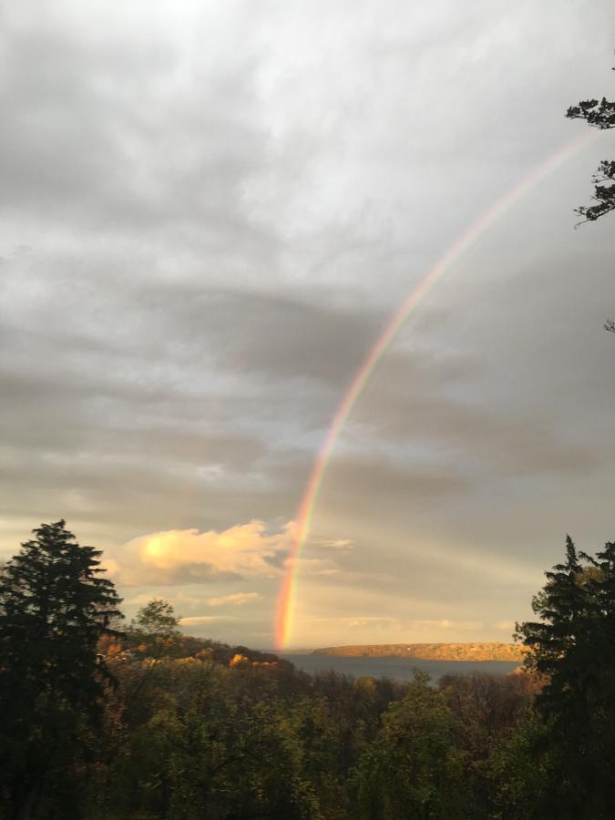 Renwick Clifton House B&B - thumb 19