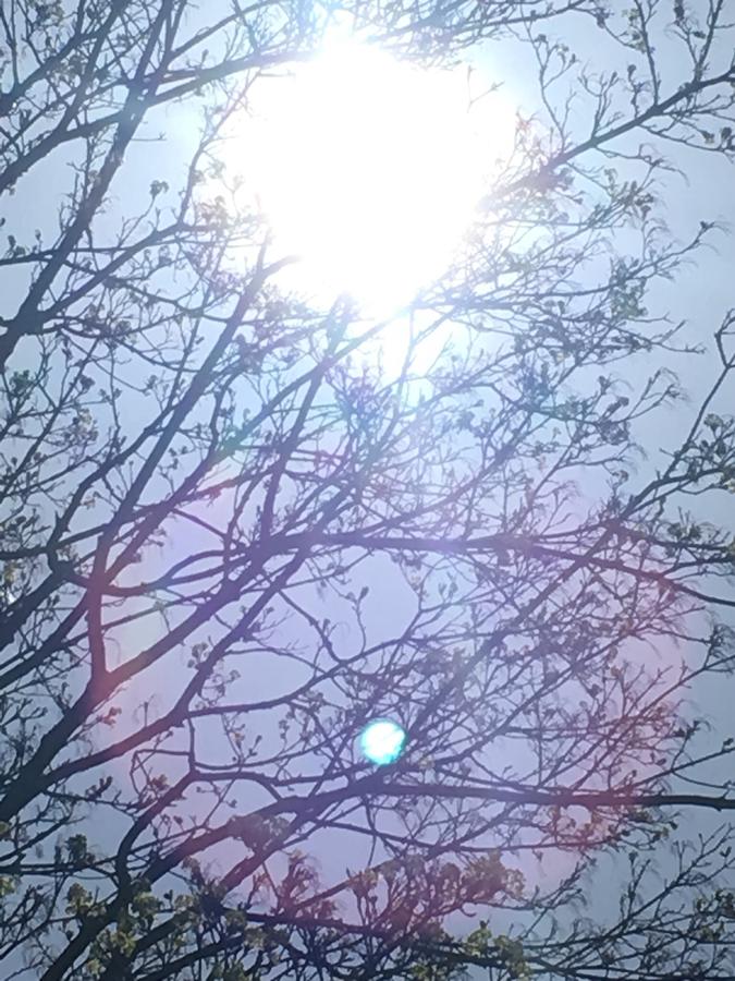 Renwick Clifton House B&B - thumb 11