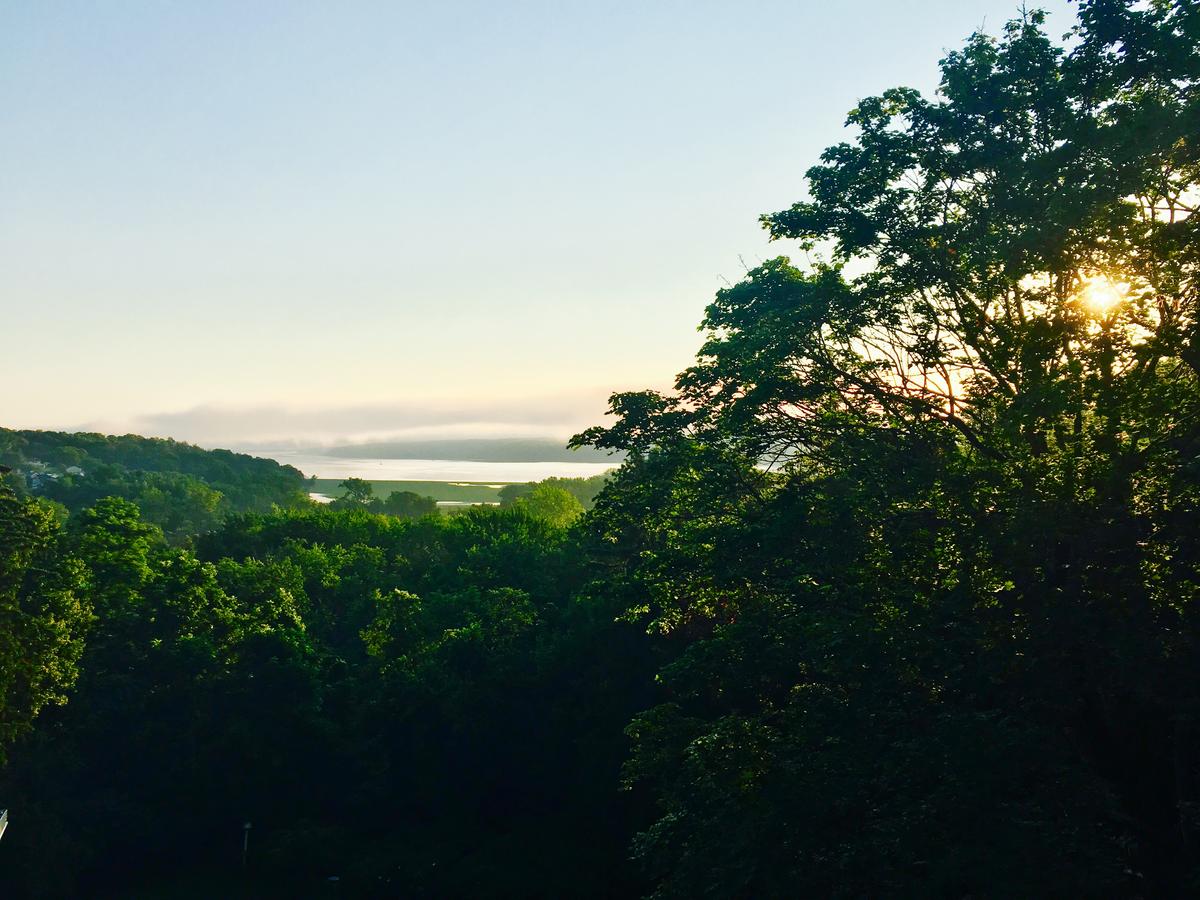 Renwick Clifton House B&B - thumb 20