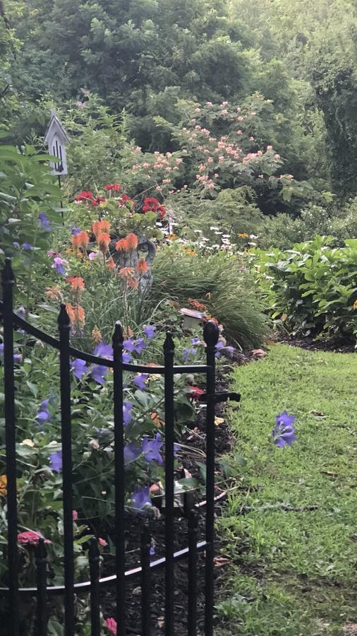 Renwick Clifton House B&B - thumb 15