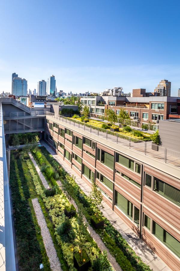 Pod Brooklyn - thumb 12