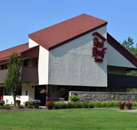 Red Roof Inn Buffalo - Niagara Airport - Tourism Bookings