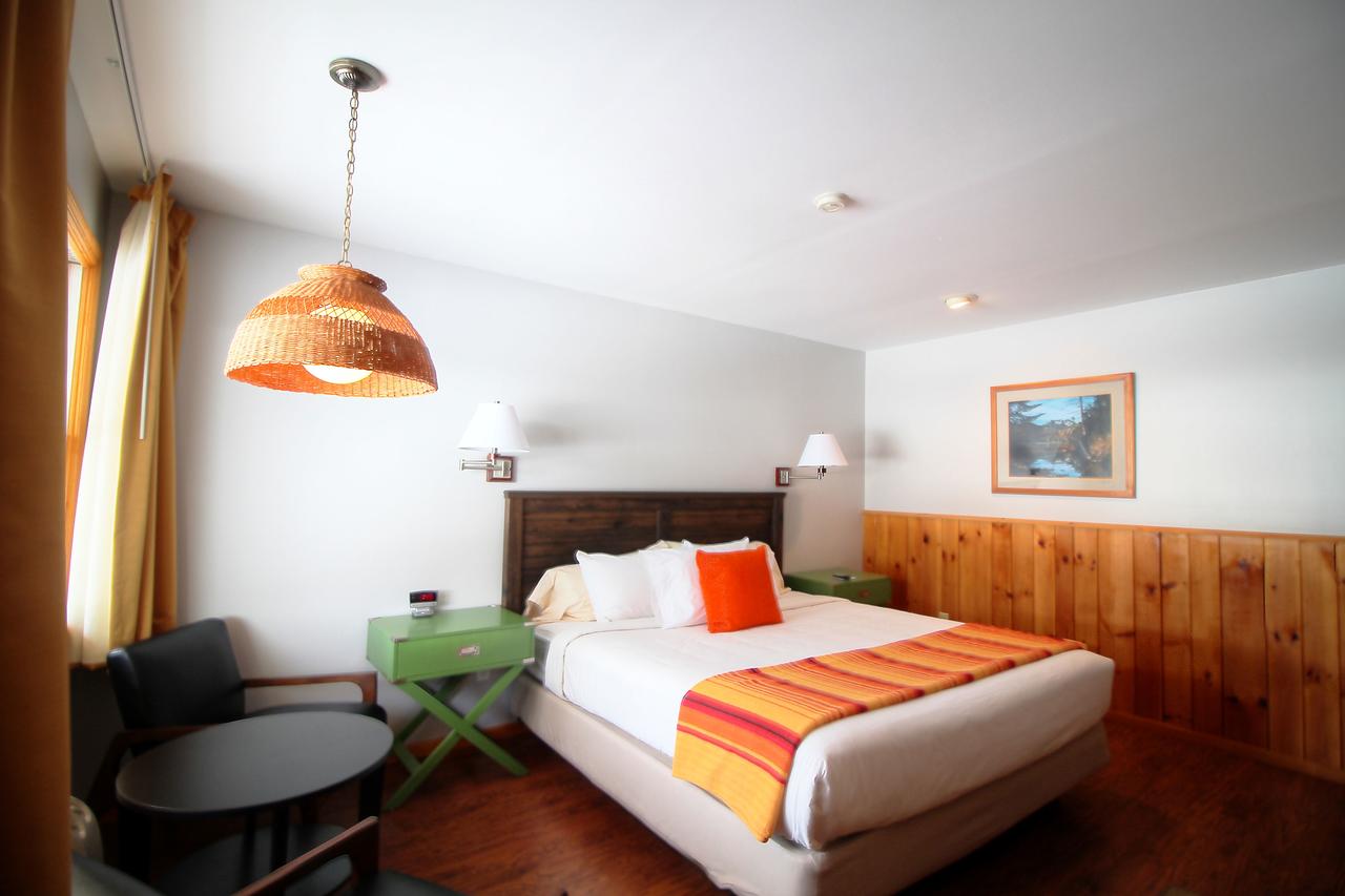 Town House Lodge - thumb 11