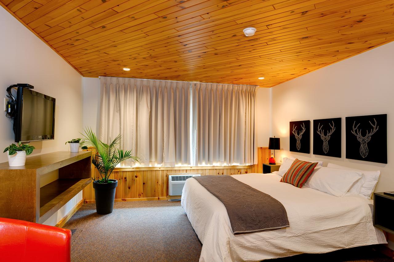 Town House Lodge - thumb 0