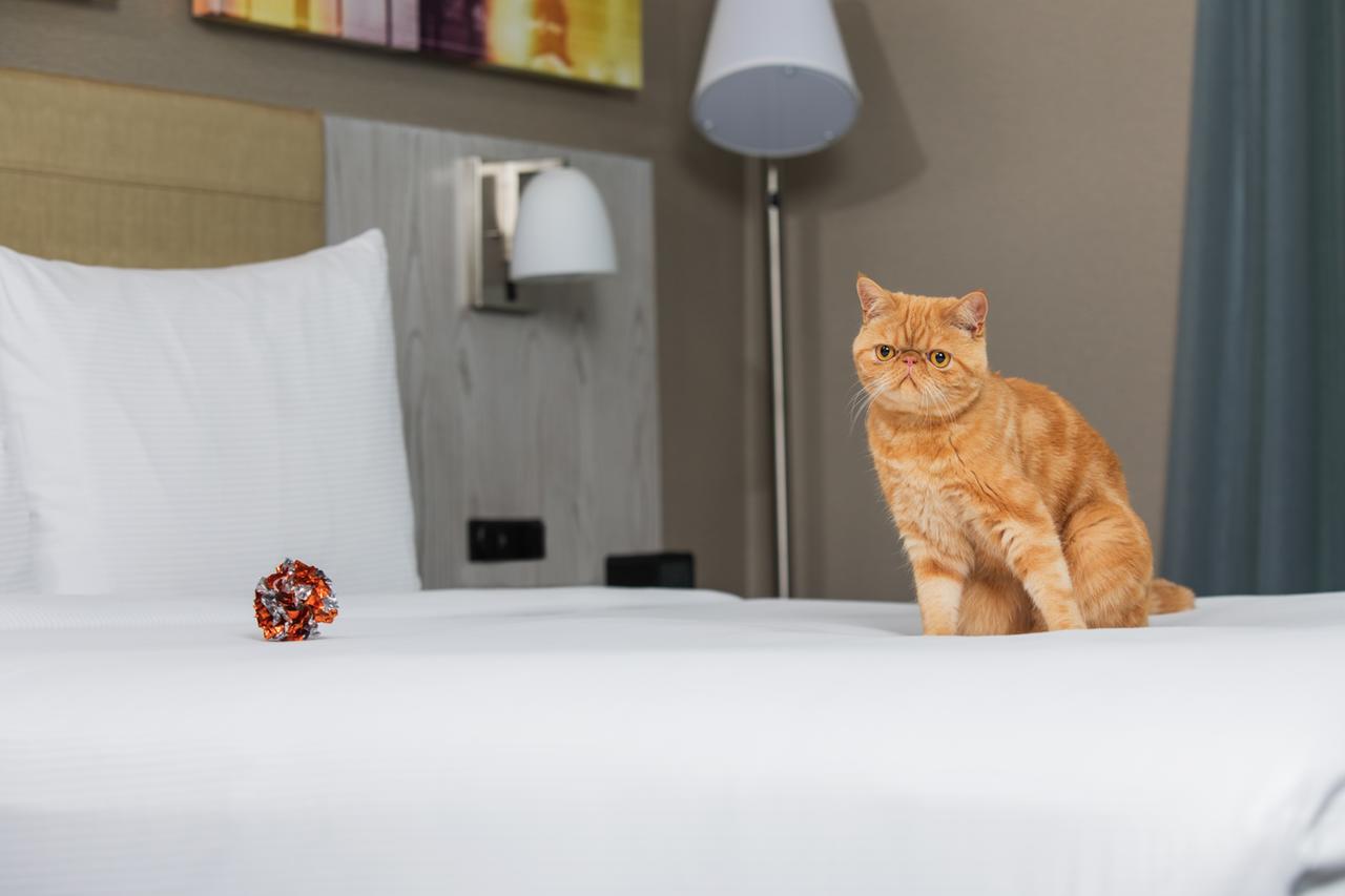 Doubletree By Hilton New York Times Square West - thumb 5