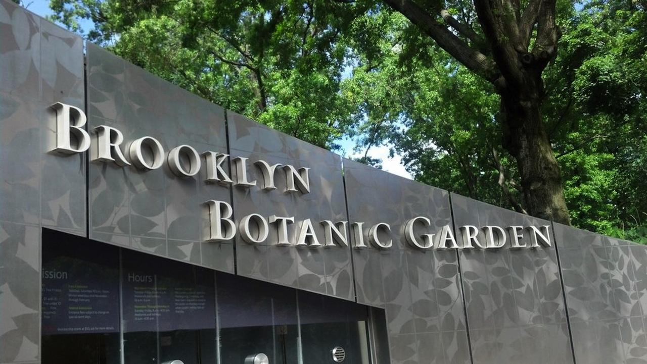 Luxury Duplex Apartment - thumb 20