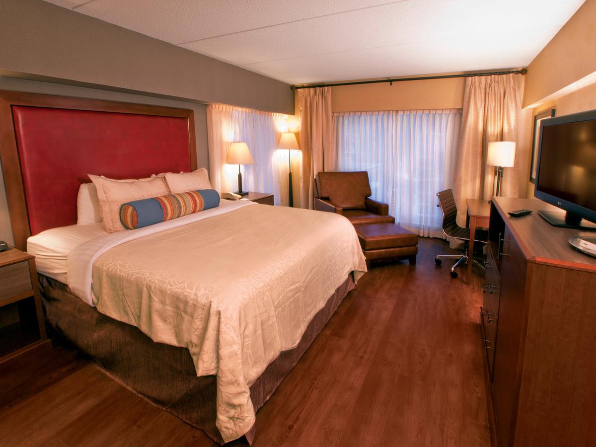 Hotel Ithaca - thumb 18