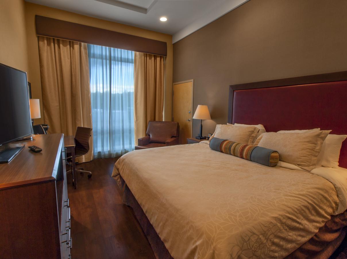 Hotel Ithaca - thumb 36