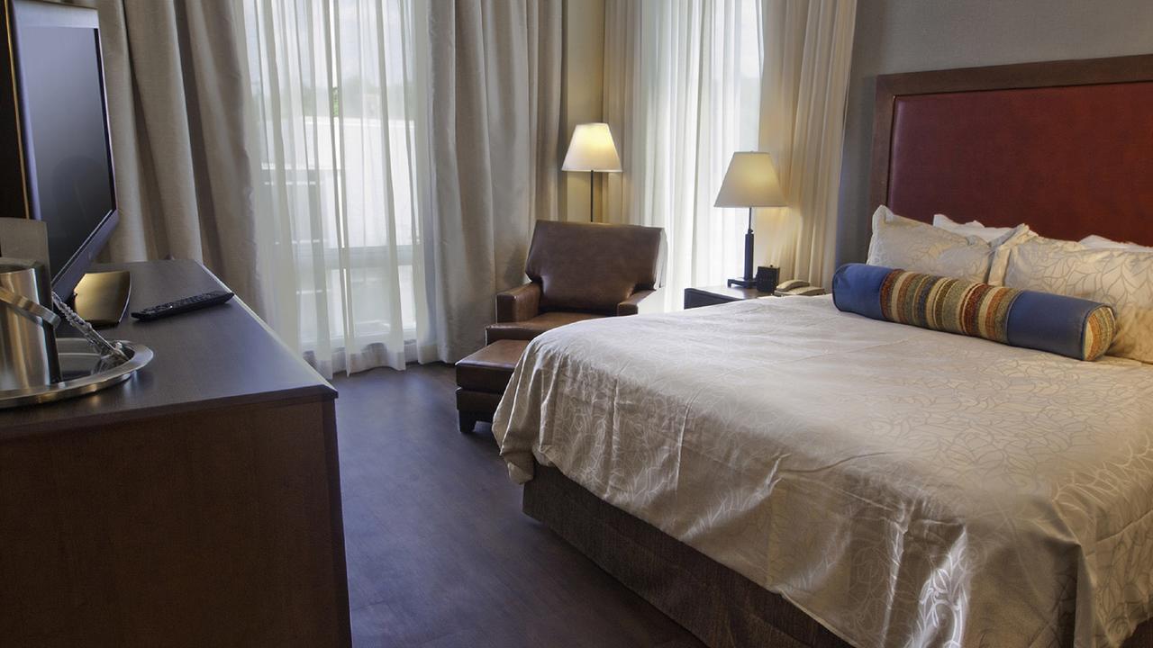 Hotel Ithaca - thumb 13