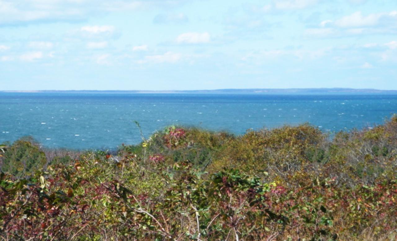 Montauk Manor - thumb 38