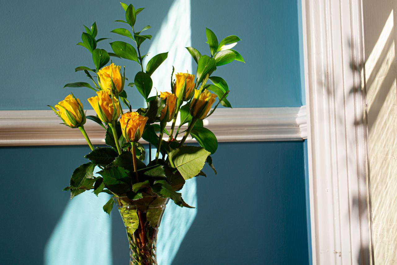 Rosemont Inn - thumb 22