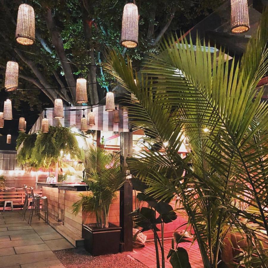 American Beech Hotel - thumb 24