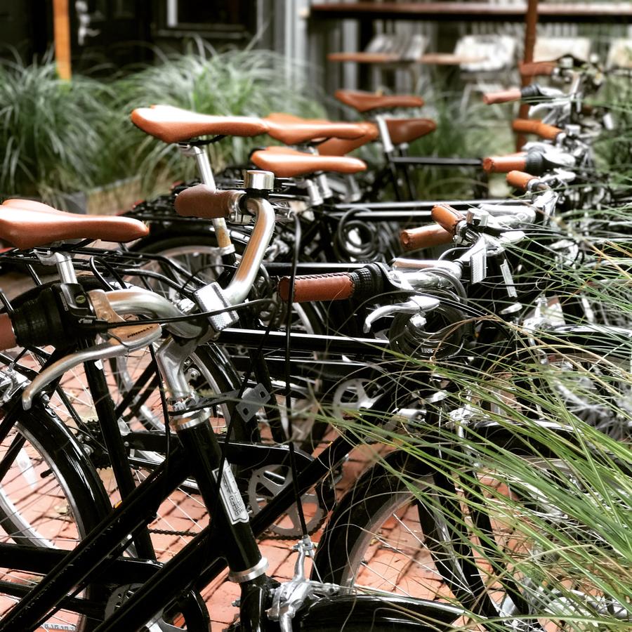 American Beech Hotel - thumb 44