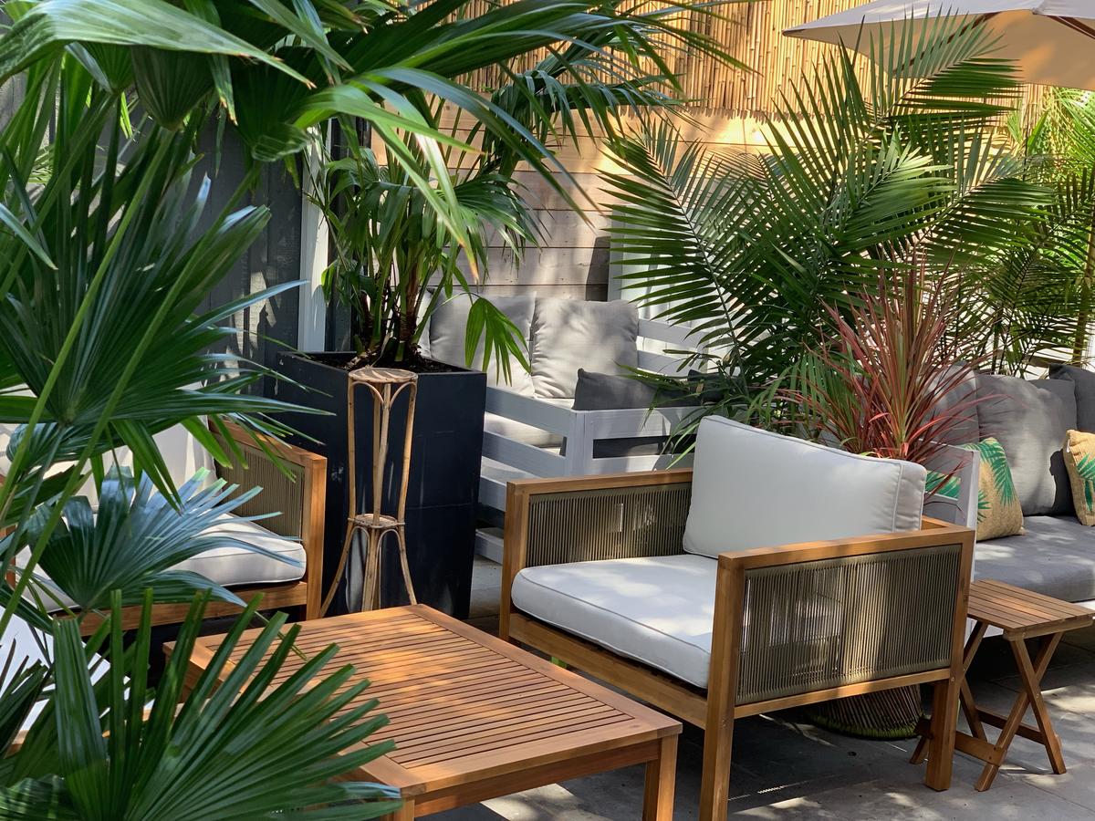 American Beech Hotel - thumb 19