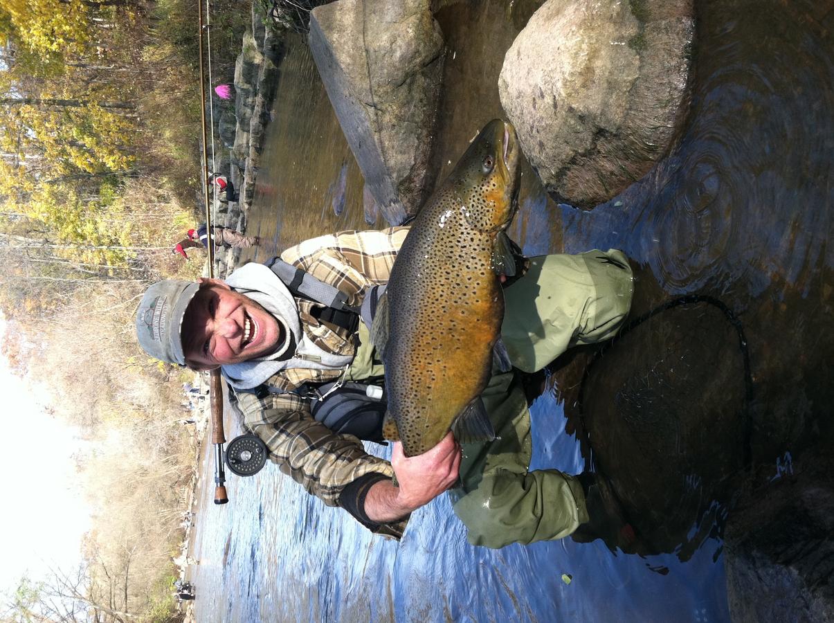 Theater Motel - thumb 9