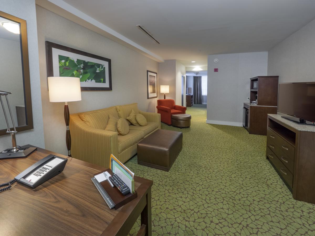 The Hilton Garden Inn Buffalo-Downtown - thumb 24