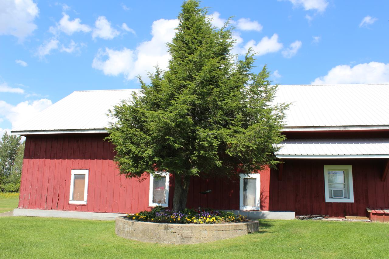 Northern Family Motel - thumb 4