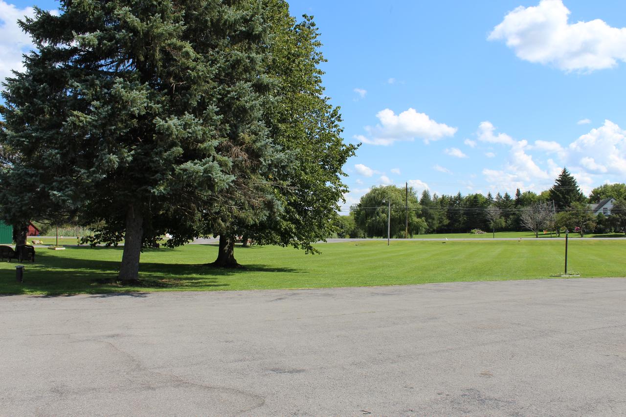 Northern Family Motel - thumb 8