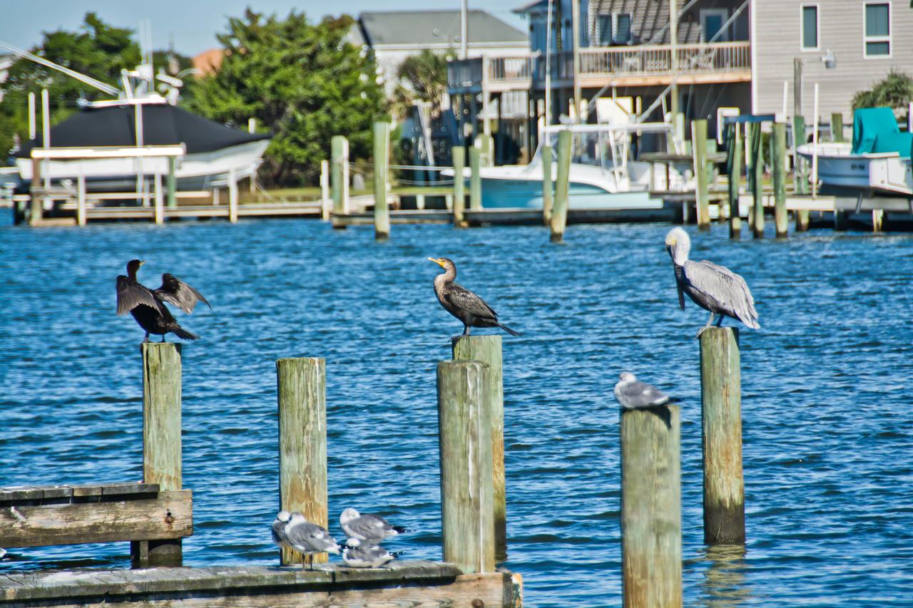 Palm Suites - thumb 42