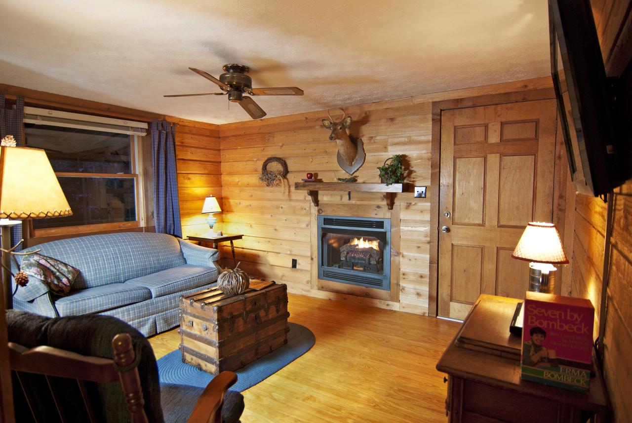 Mountain Springs Cabins - thumb 3