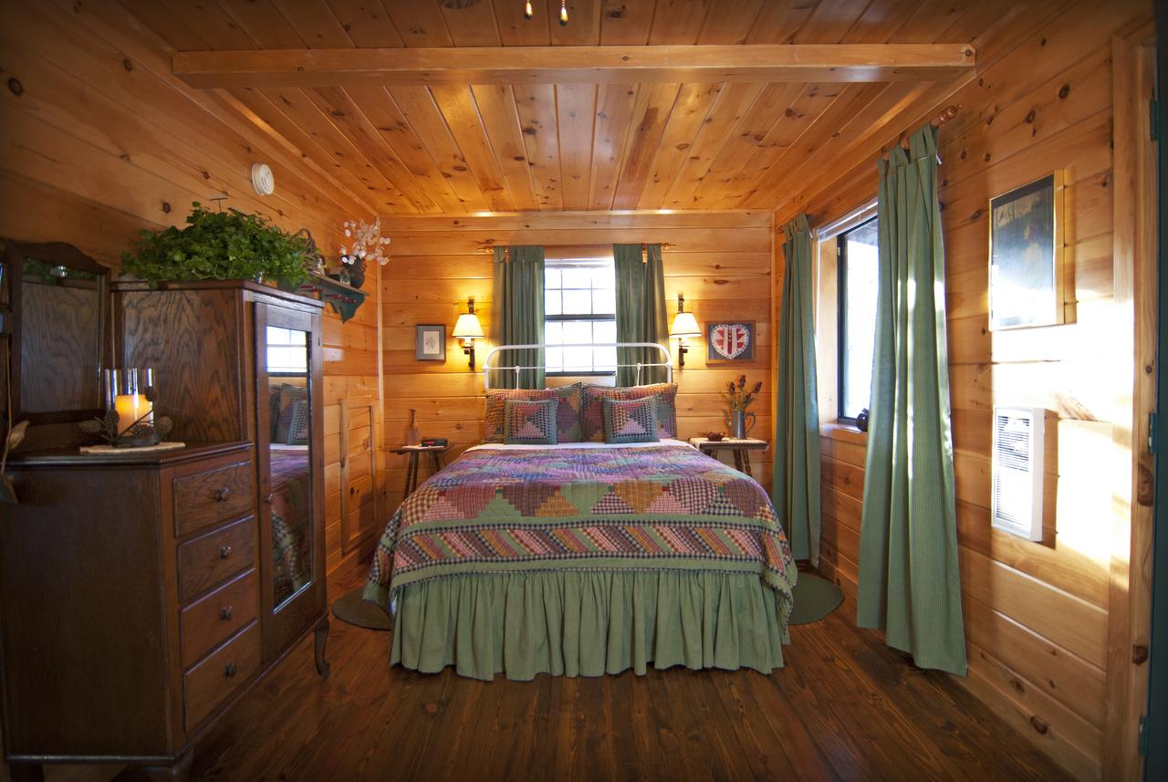 Mountain Springs Cabins - thumb 43