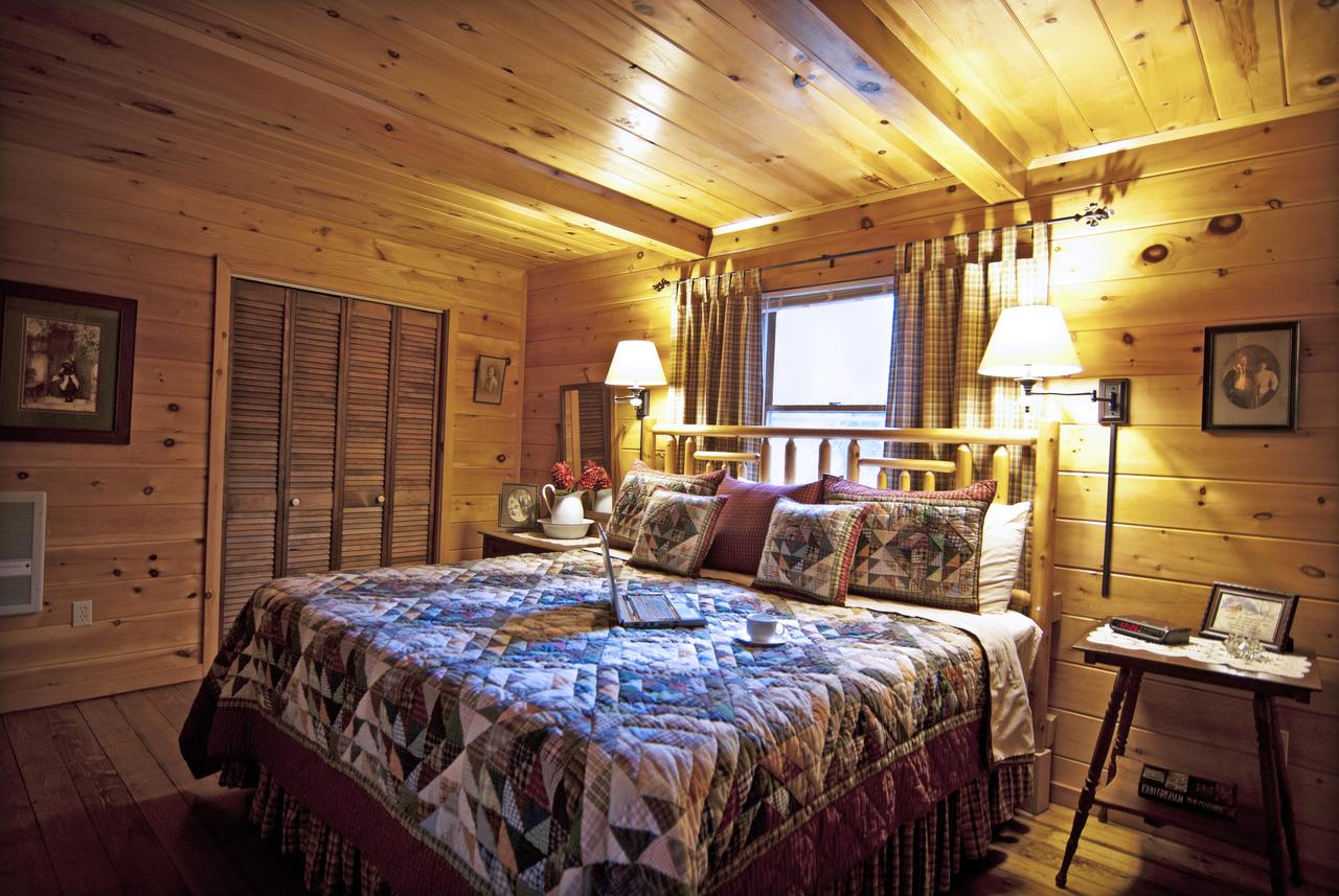 Mountain Springs Cabins - thumb 0