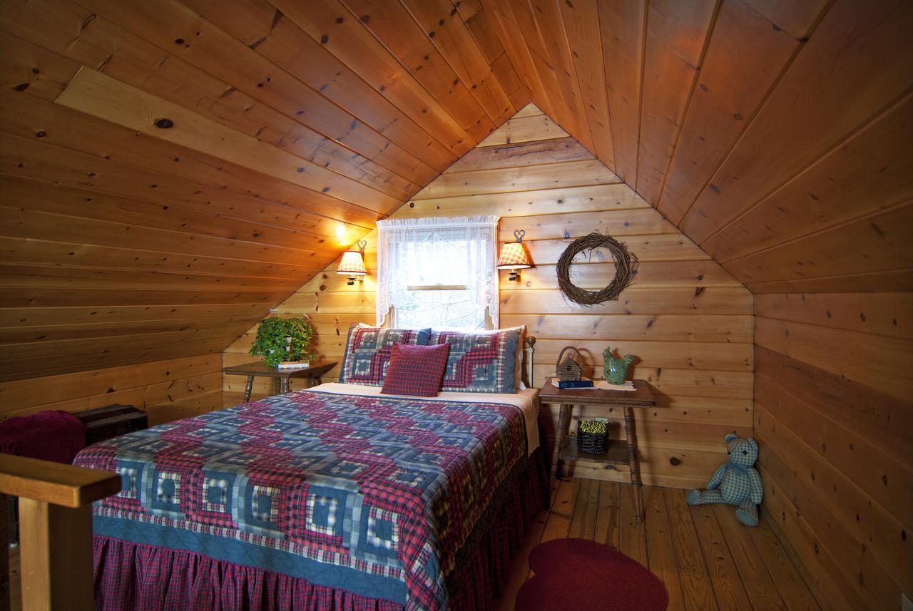 Mountain Springs Cabins - thumb 14