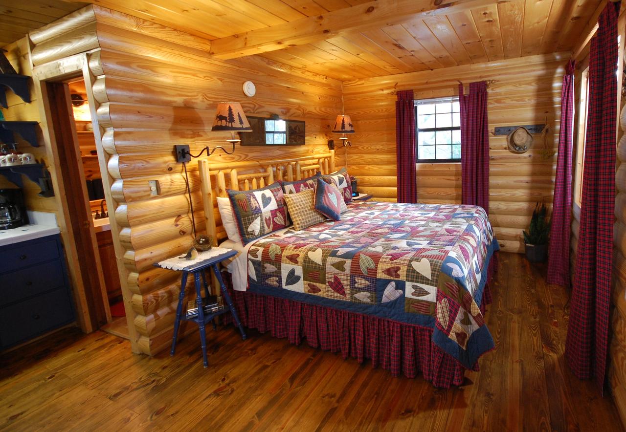 Mountain Springs Cabins - thumb 41