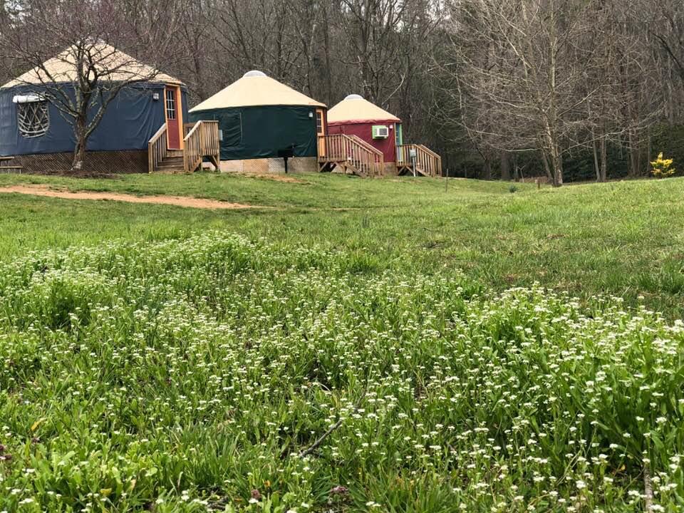Mountain Springs Cabins - thumb 33