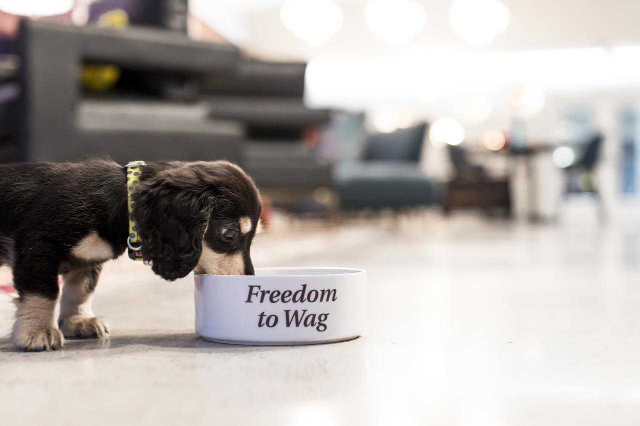 Unscripted Durham - thumb 42