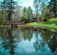 Asheville Cabins of Willow Winds - USA Accommodation