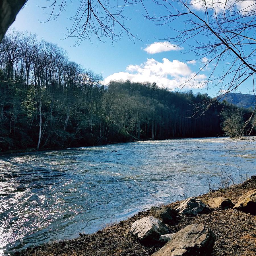The Yurts At Wildcat Ridge Farm - thumb 11