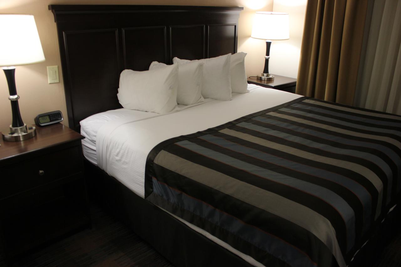 Wingate By Wyndham - Charlotte Airport South I-77 At Tyvola - thumb 3