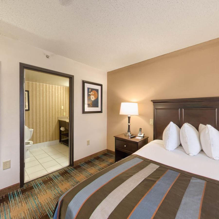 Wingate By Wyndham - Charlotte Airport South I-77 At Tyvola - thumb 10