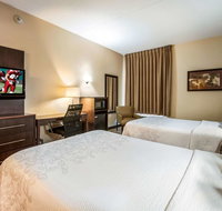 Red Roof Inn PLUS Raleigh NCSU - Convention Center - USA Accommodation