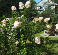 Cumberland Falls Bed  Breakfast Inn - USA Accommodation