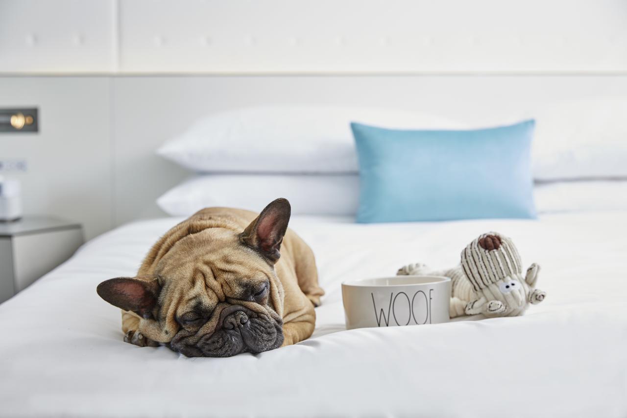 Renaissance Charlotte SouthPark Hotel - thumb 33