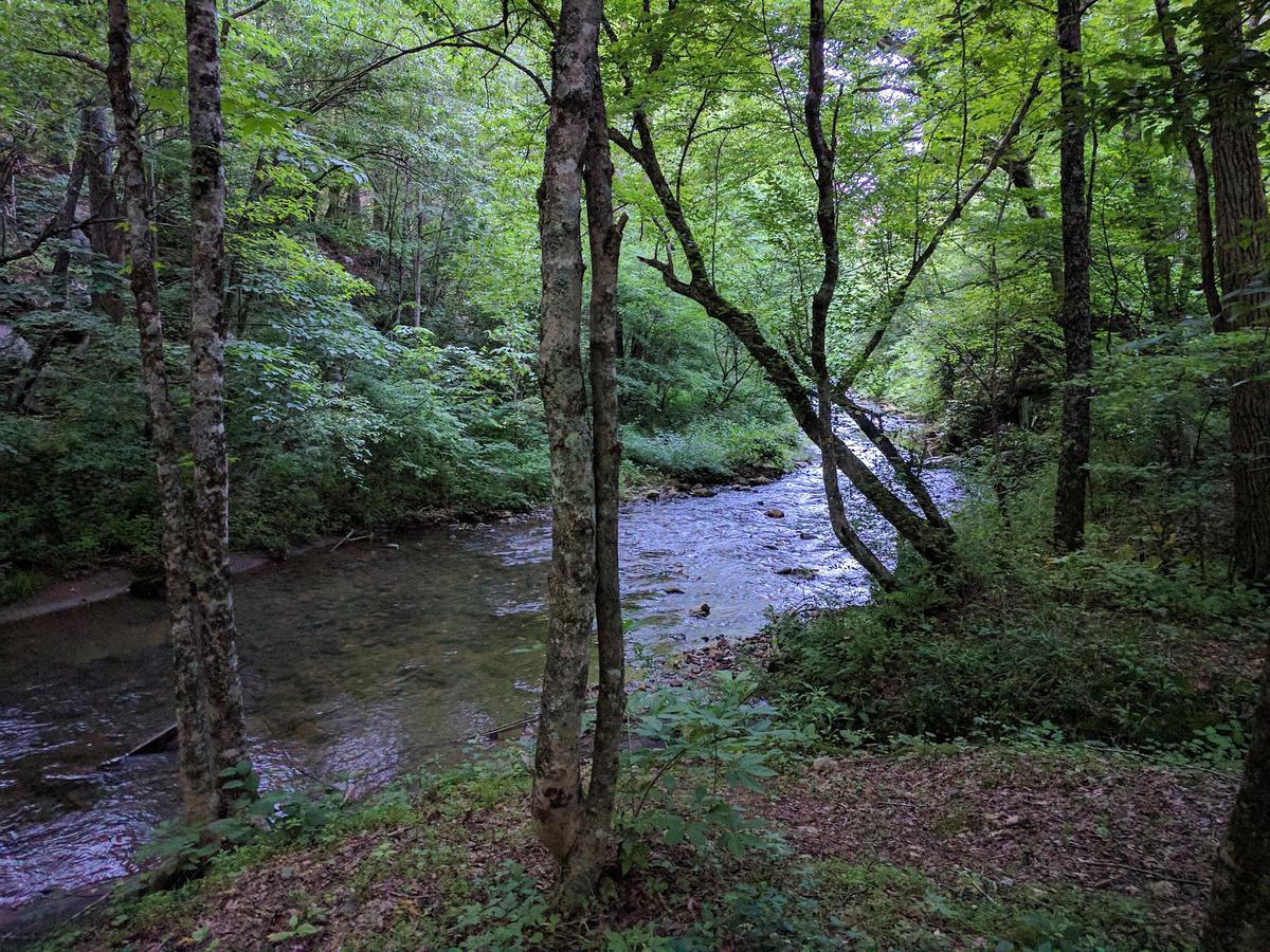 Penland Cabin - thumb 16