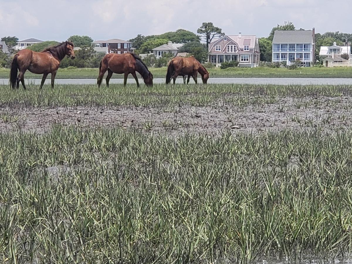 Pecan Tree Inn - thumb 34