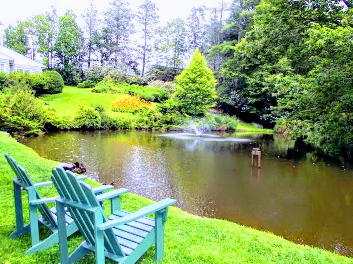 Mitchells Lodge And Cottages - thumb 16