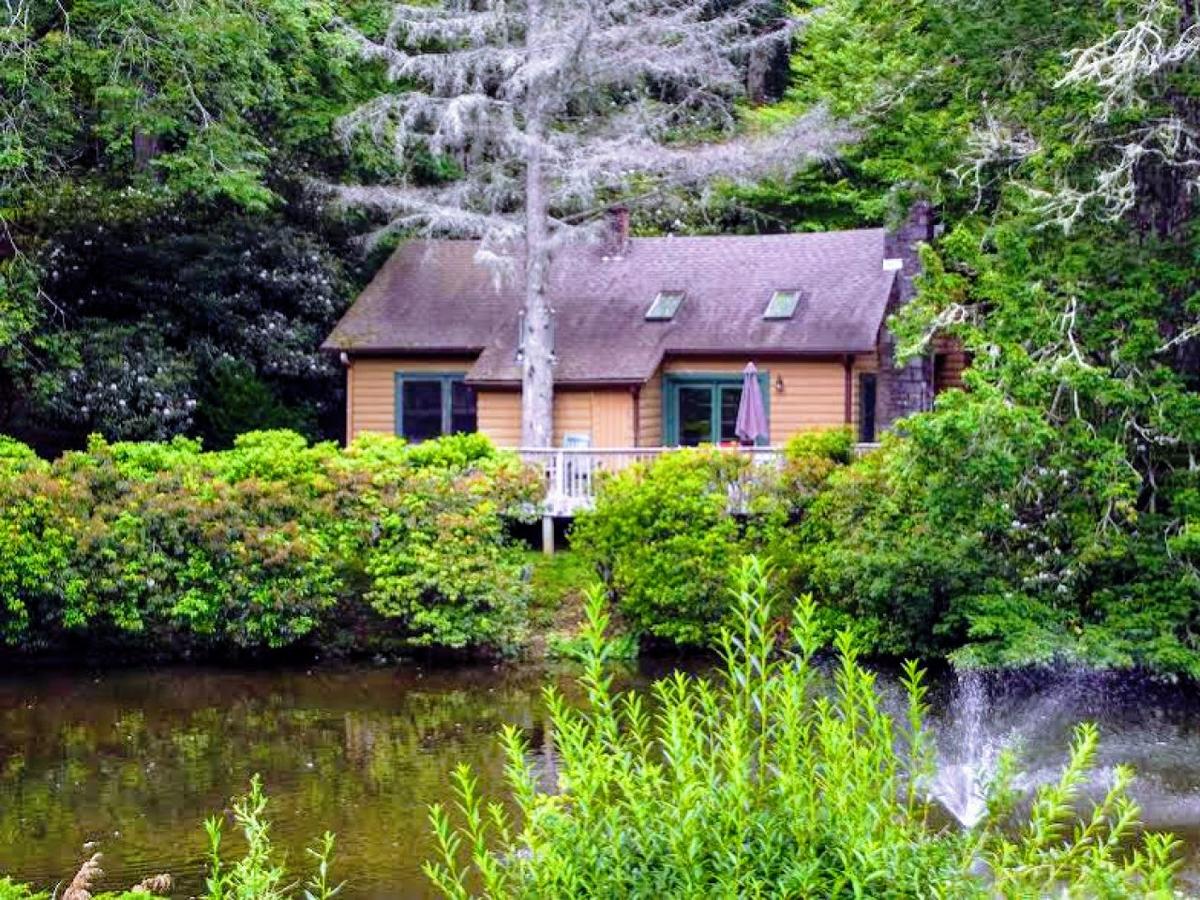 Mitchells Lodge And Cottages - thumb 30