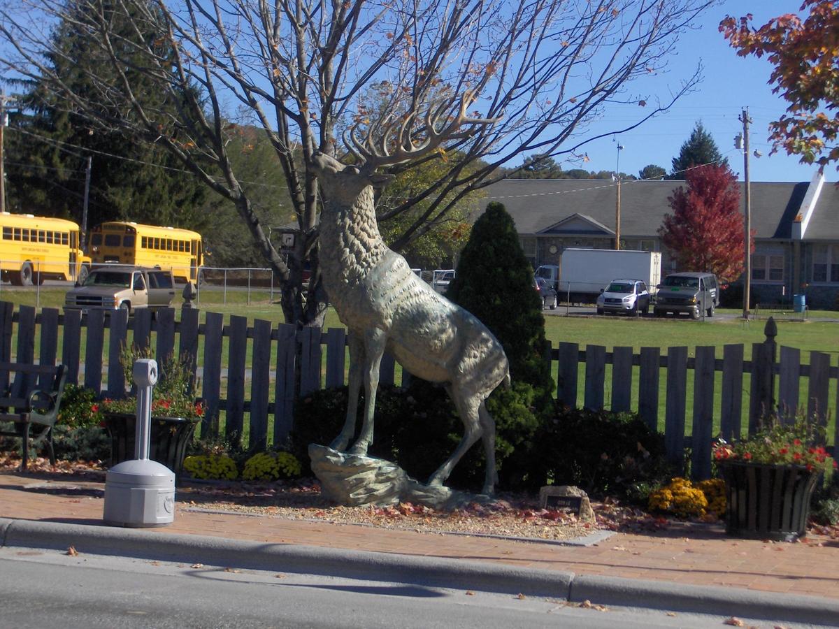 Best Western Mountain Lodge At Banner Elk - thumb 5