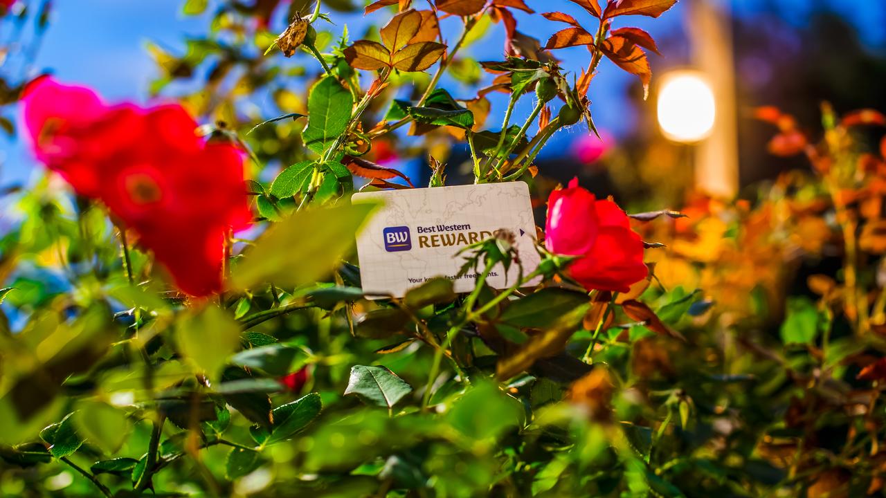 Best Western Plus River Escape Sylva / Dillsboro - thumb 25